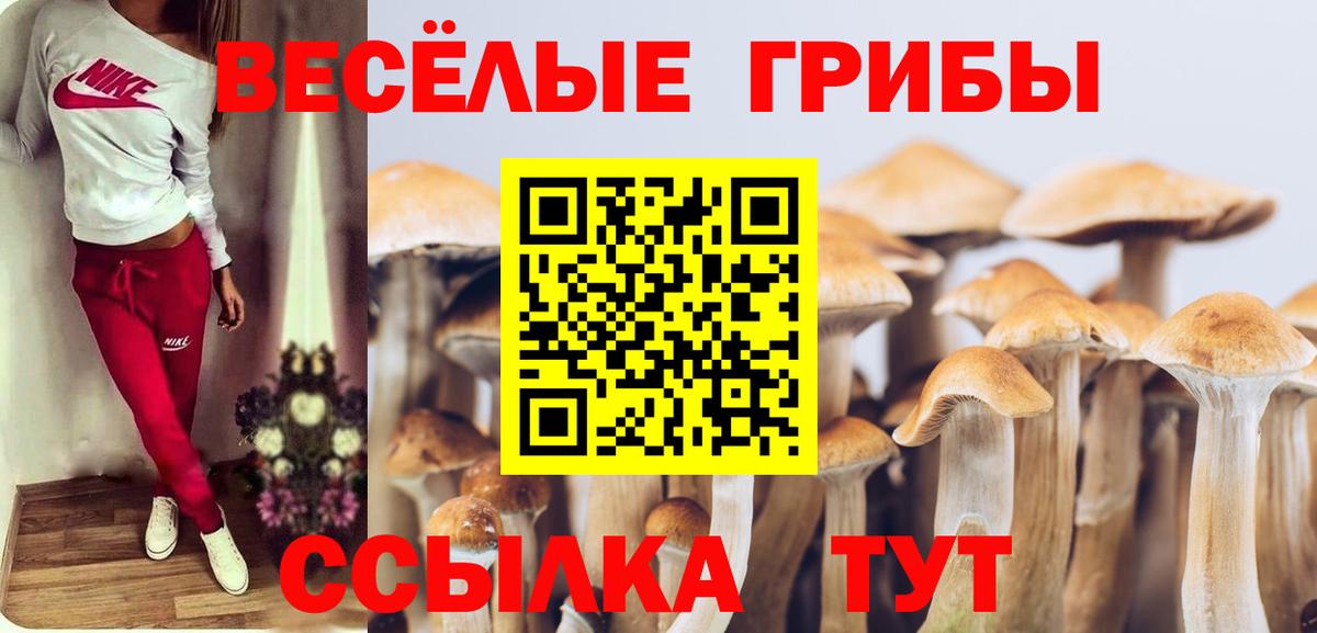 Галлюциногенные грибы Cubensis  Вход с VPN  Кудымкар 